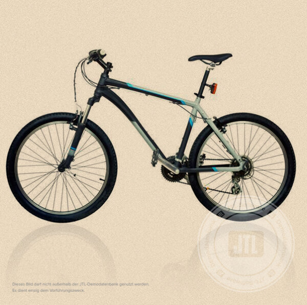 Herren-Mountainbike 60 cm