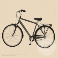 Herren-Trekkingrad 60 cm