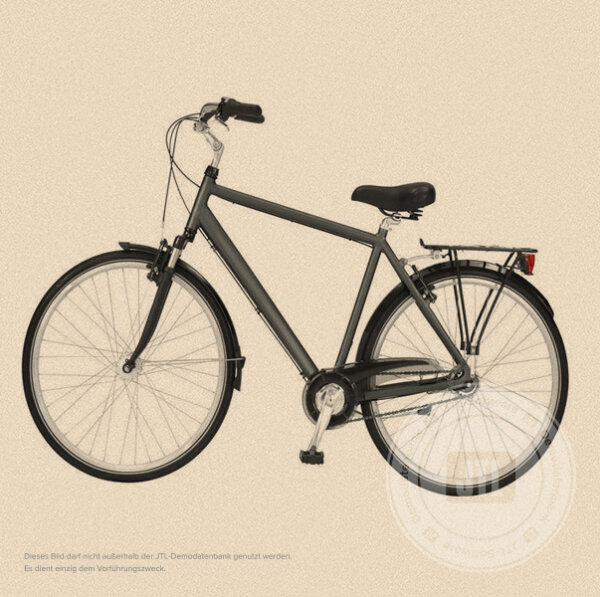 Herren-Trekkingrad 56 cm