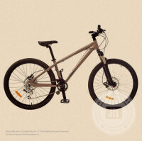 Damen-Mountainbike 44 cm