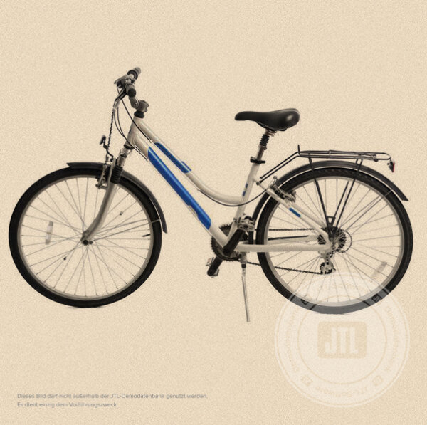 Damen-Trekkingrad 48 cm