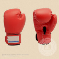 Boxhandschuhe 16
